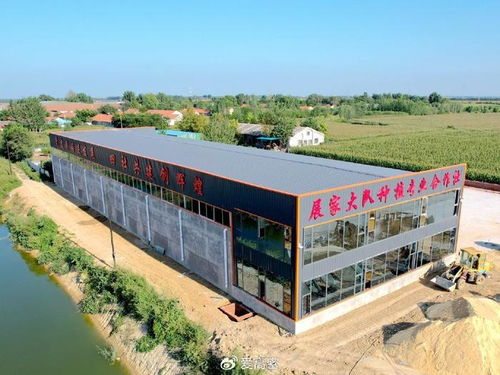 高密市大牟家鎮(zhèn)展家村黨支部領(lǐng)辦合作社 以垃圾經(jīng)營(yíng)服務(wù)撬動(dòng)區(qū)域共富新路徑